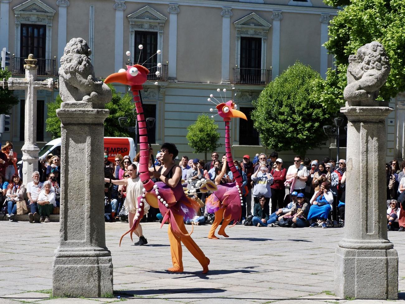 Valladolid TAC 2025 Aracaladanza 