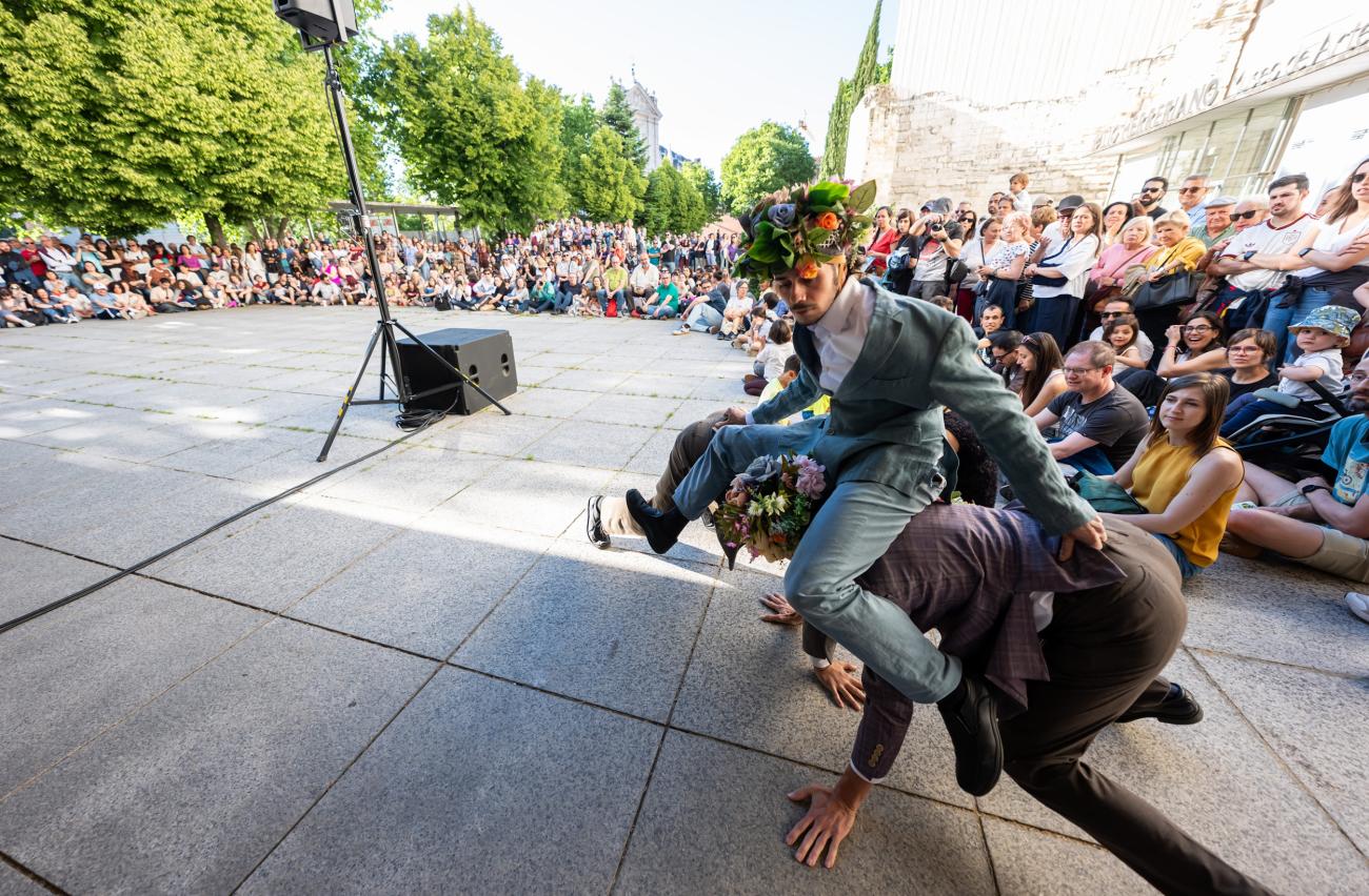Elias Aguirre Flowerheads TAC Valladolid 2026